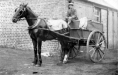 horsecart
